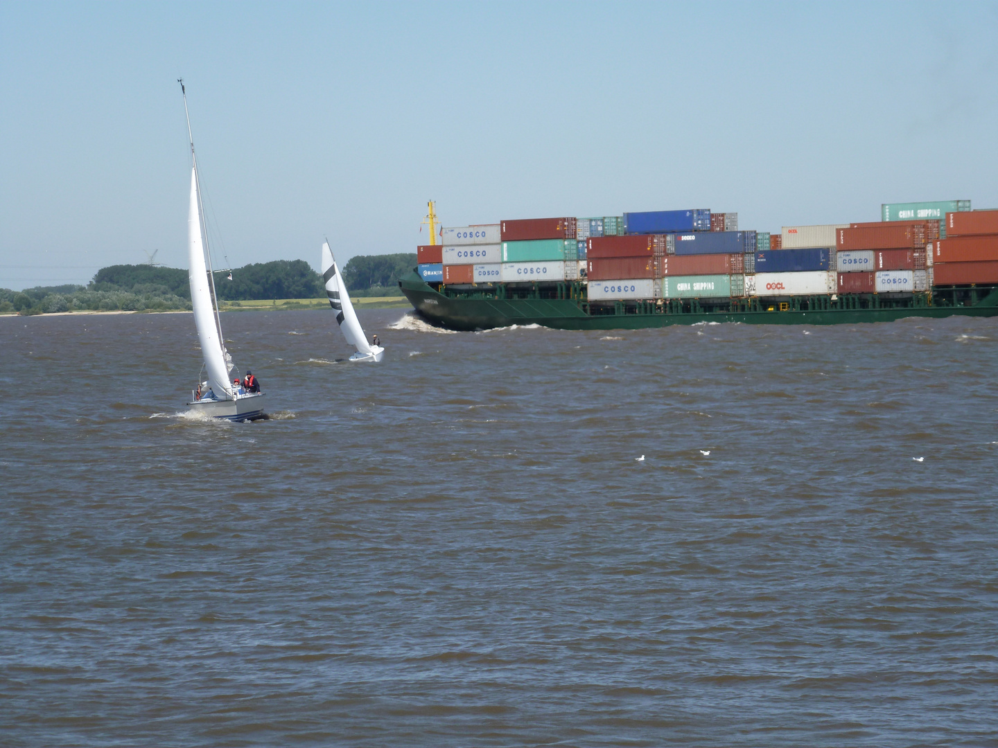 Segelboote / Containerschiff