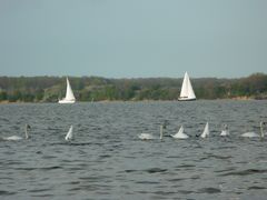 Segelboote gleiten hin, gleiten her         Sailboats slide, glide