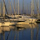 Segelboote im Hafen von Le Lavandou