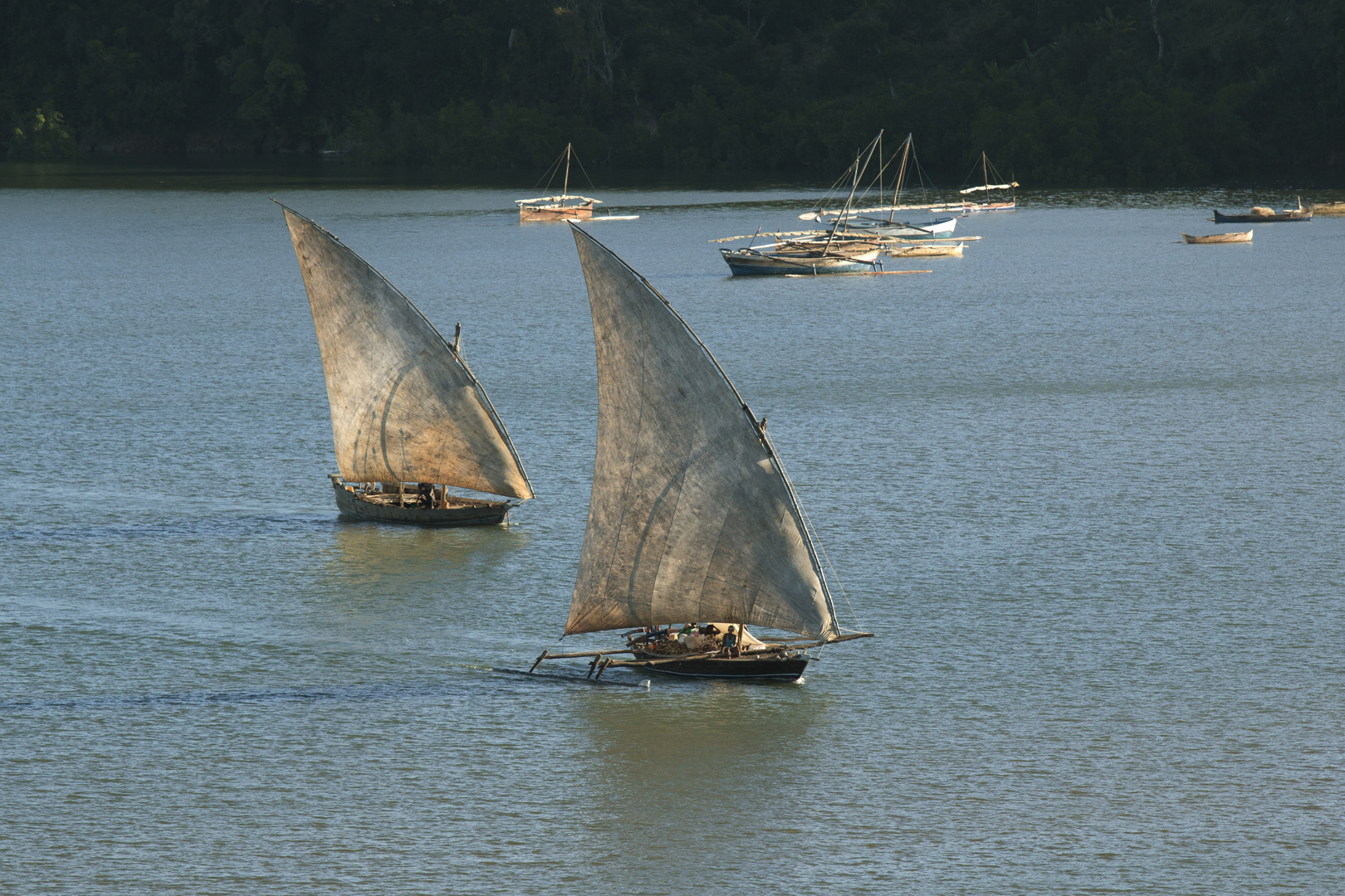 Segelboote kehren zurück in den Hafen