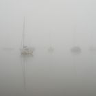 Segelboote vor Anker im Morgennebel auf Simssee