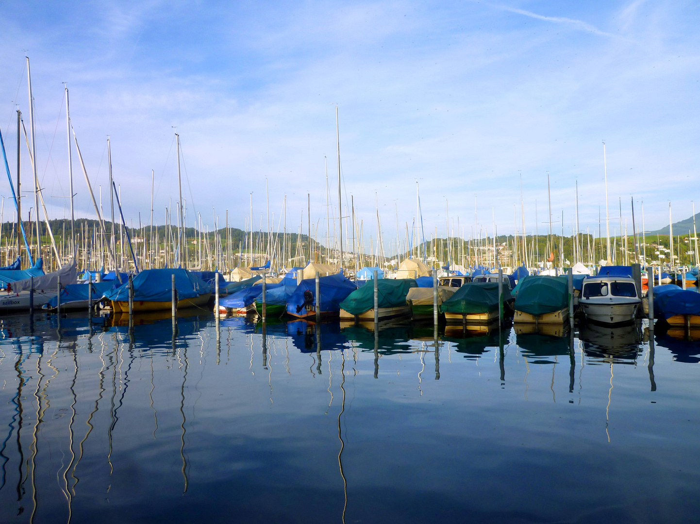 Segelbootshafen Tribschen in Luzern ...