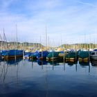 Segelbootshafen Tribschen in Luzern ...