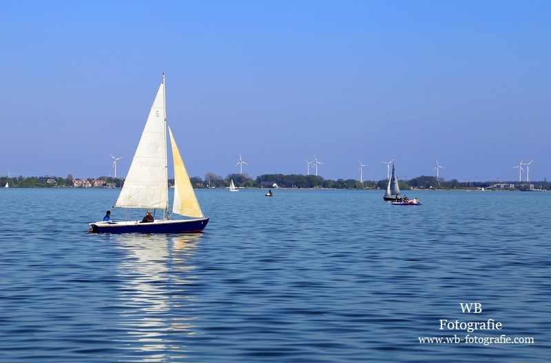 Segelbote auf dem Dümmer See