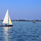 Segelbote auf dem Dümmer See