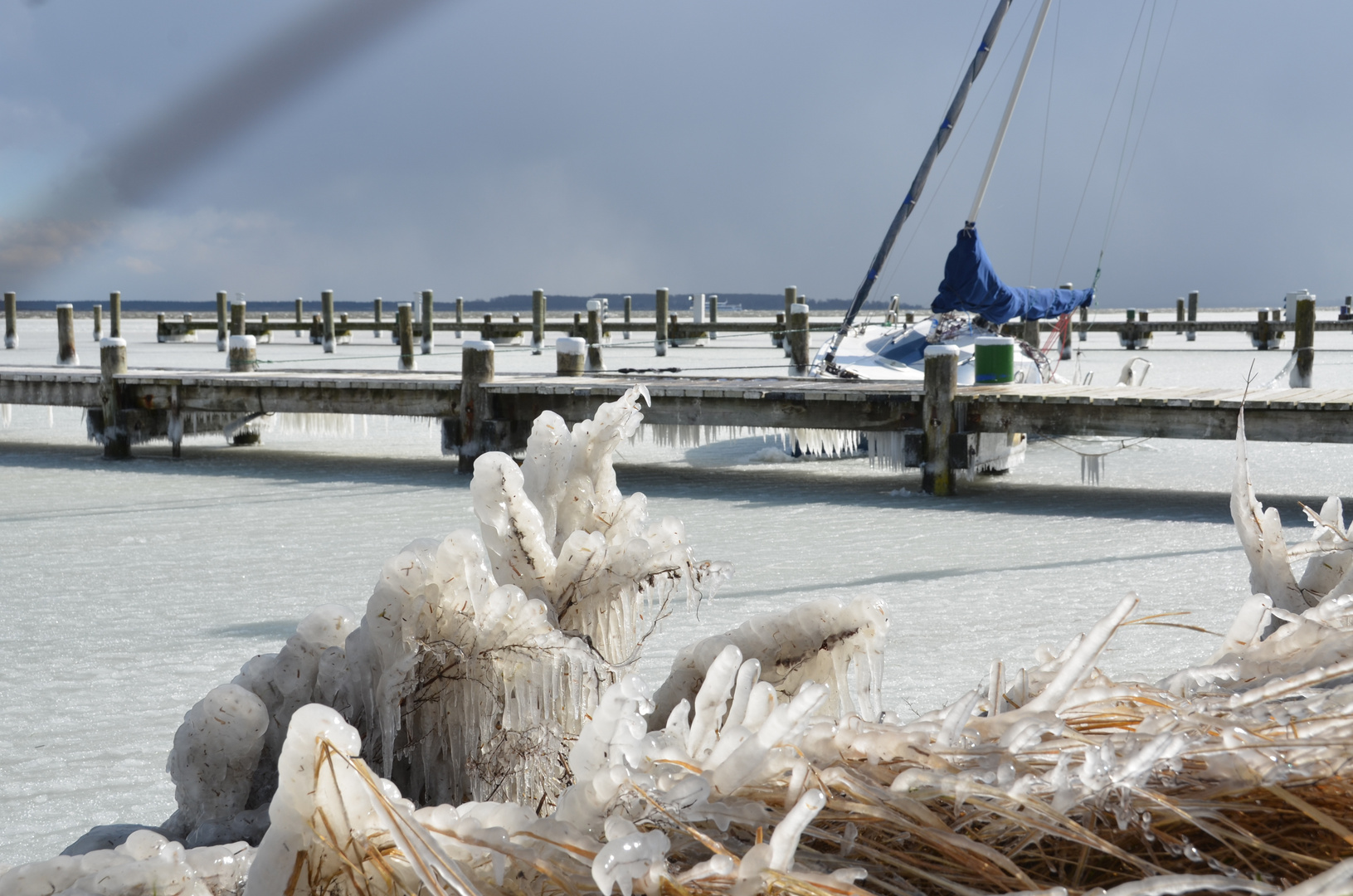 Segelerhafen Eiskalter Nordostwind 