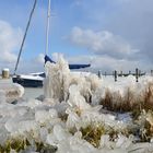 Segelerhafen Eiskalter Nordostwind 