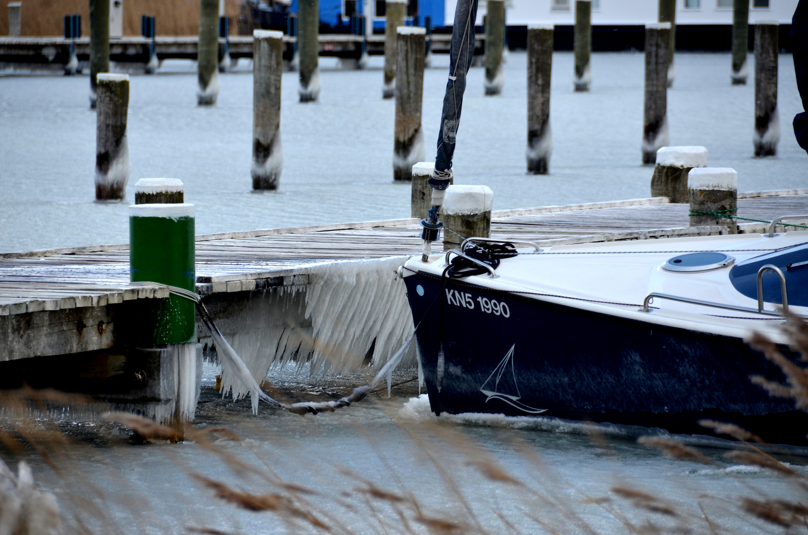 Segelerhafen Eiskalter Nordostwind 