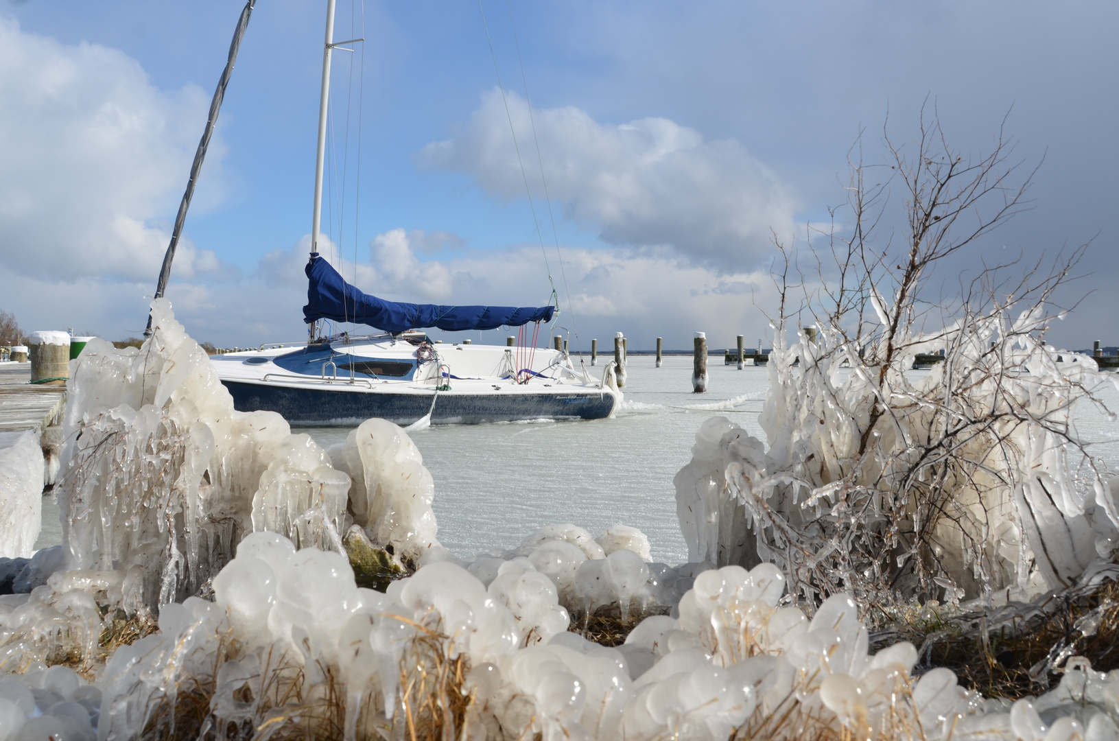 Segelerhafen Eiskalter Nordostwind 