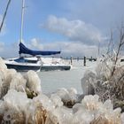 Segelerhafen Eiskalter Nordostwind 