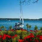 Segelfahrt zu Christi Himmelfahrt ab Überlingen Bodensee