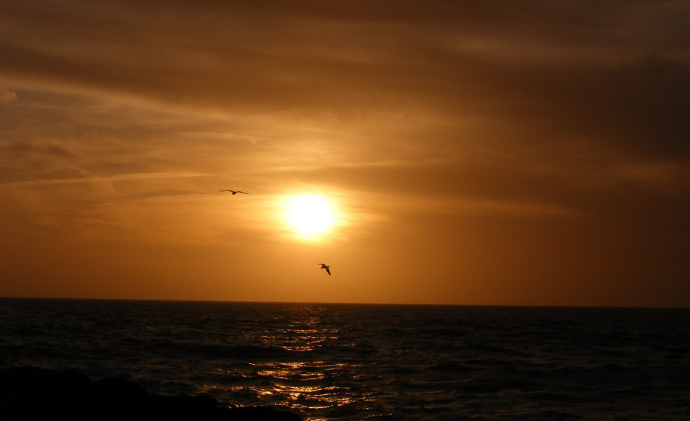 Segelflug im Abendlicht