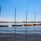 Segeljollen - Ijsselmeer bei Lemmer, Niederlande 