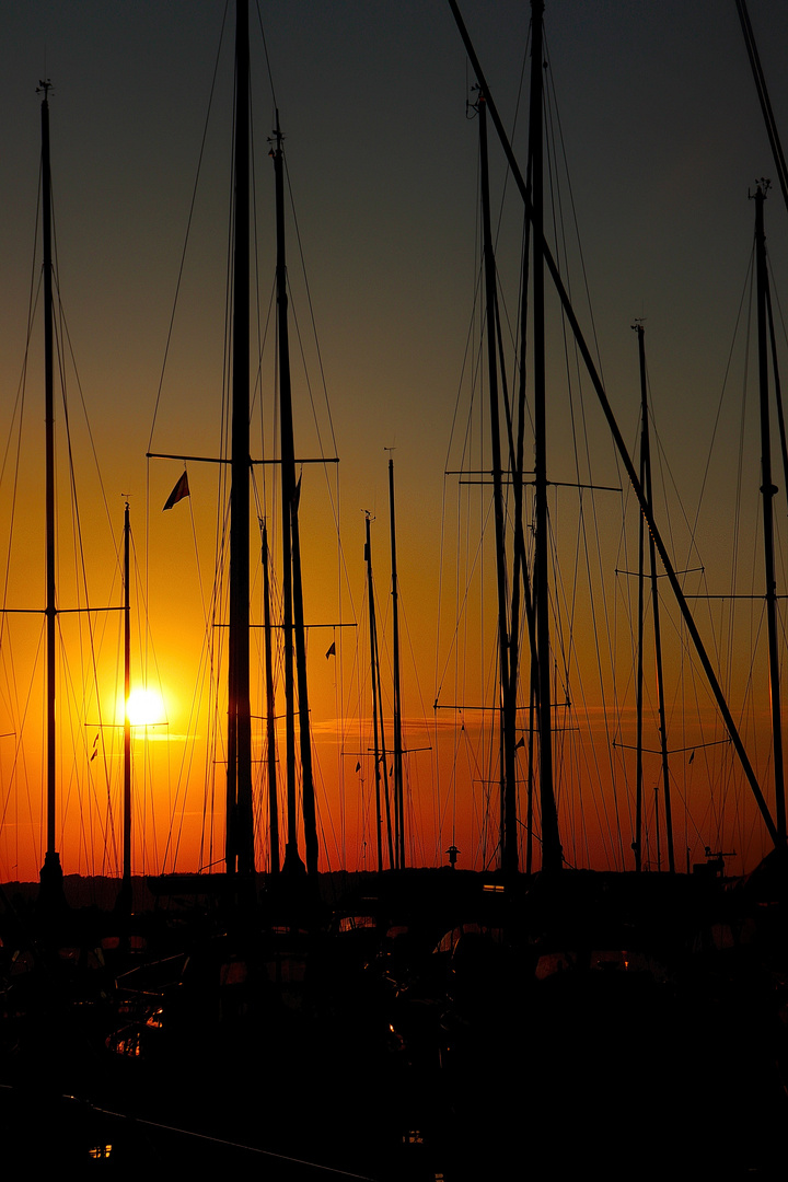 Segelmäste & Sonnenuntergang