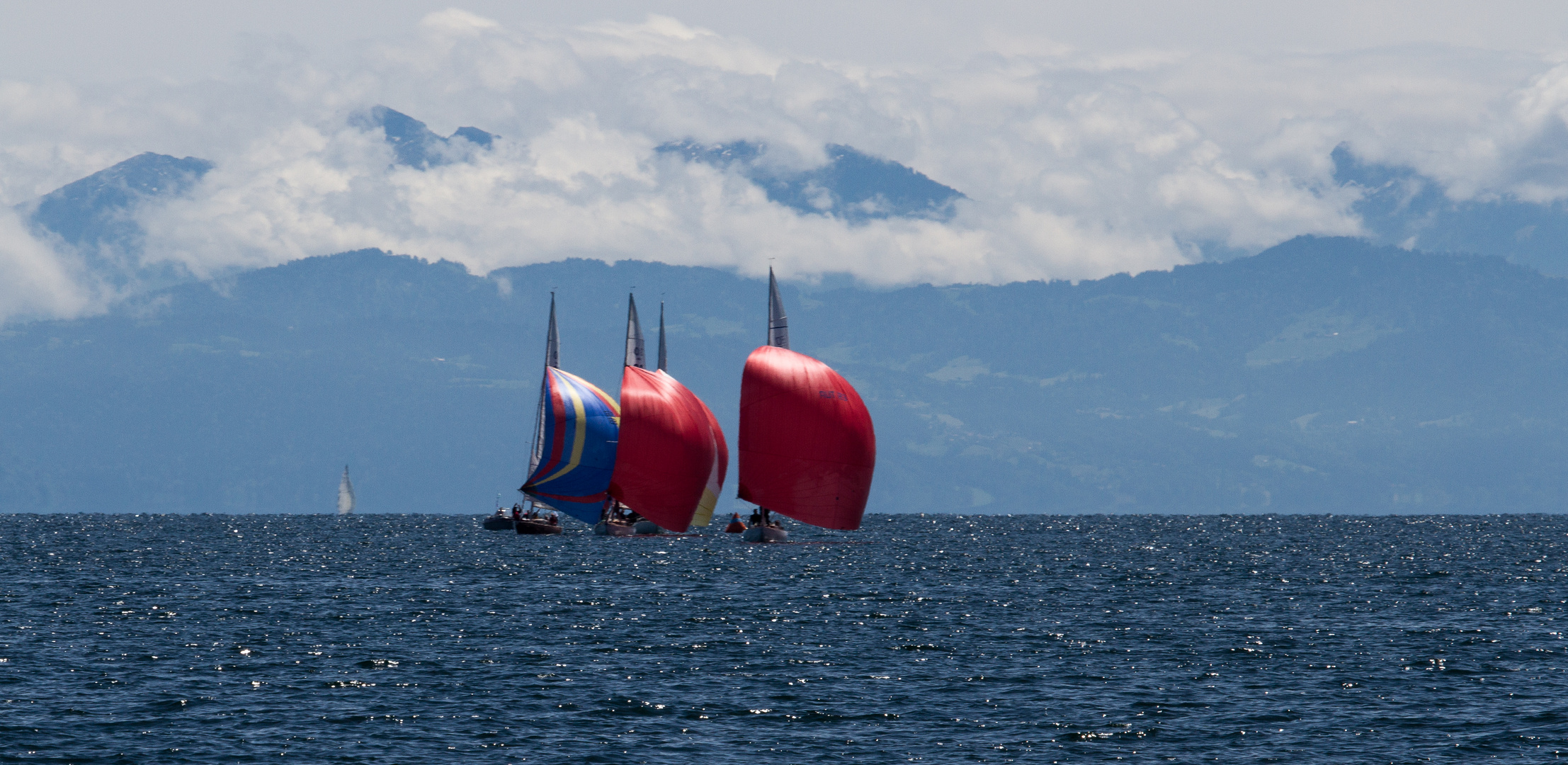 Segeln am Bodensee 2