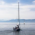 Segeln am Bodensee