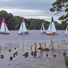 Segeln am Dutzendteich