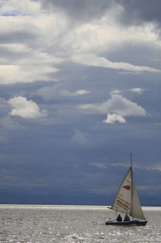 Segeln am Neusiedler See