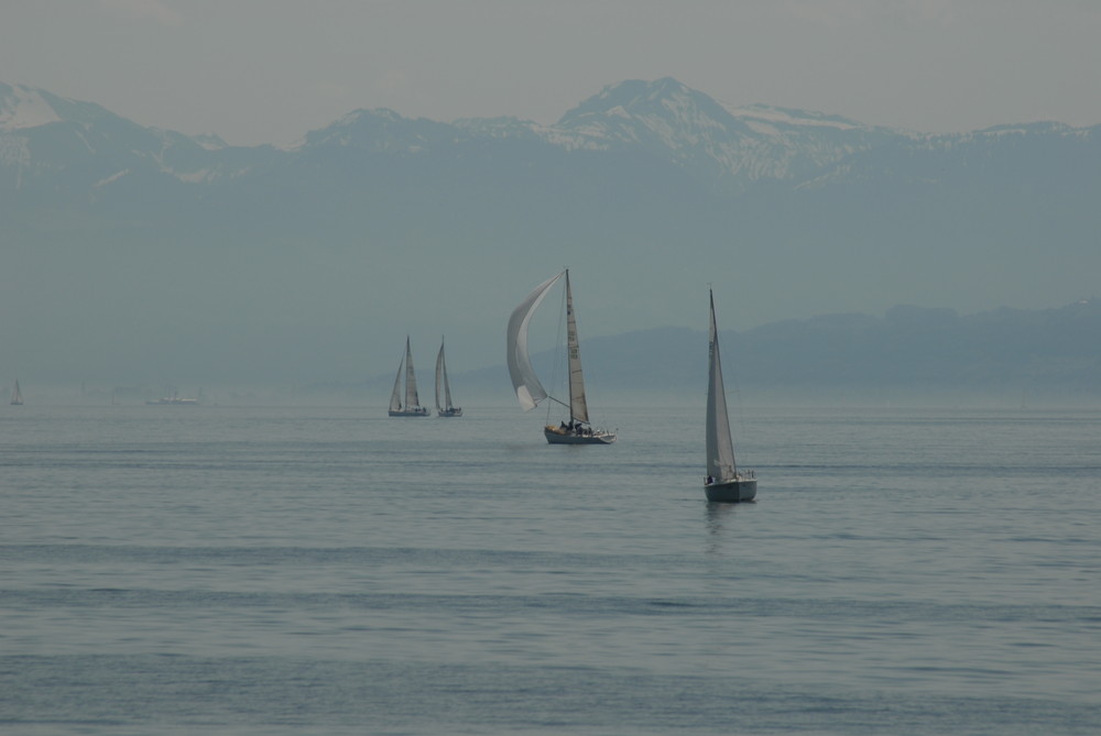 Segeln am Rande der Alpen