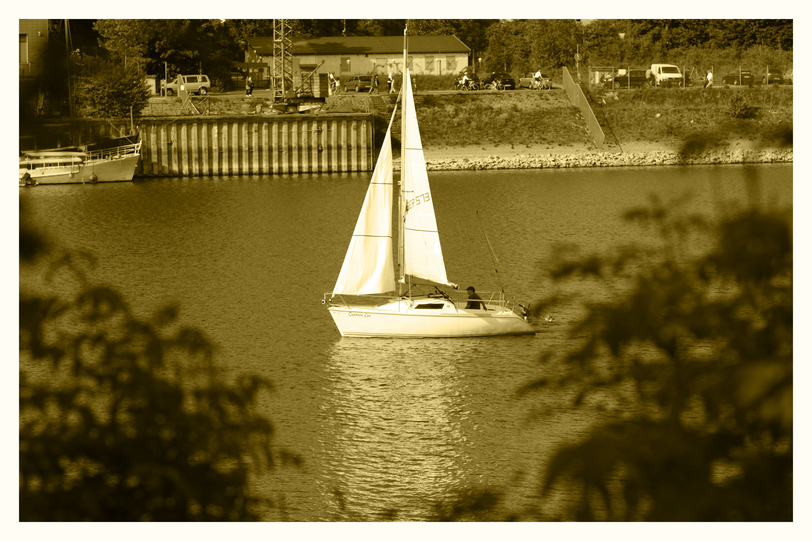 Segeln am Rhein