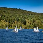 Segeln am Schluchsee