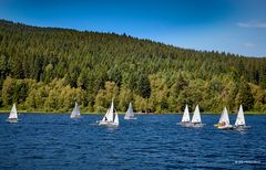 Segeln am Schluchsee