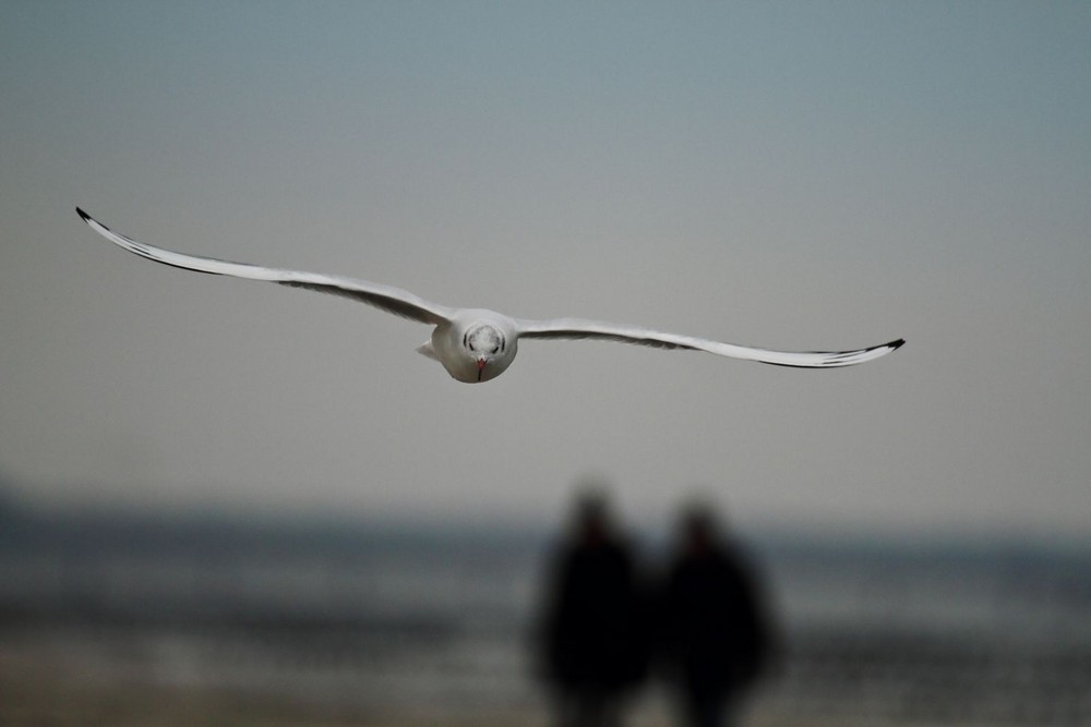 Segeln am Strand