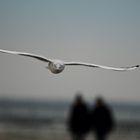 Segeln am Strand