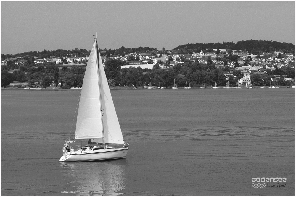 Segeln auf dem Bodensee