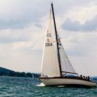 Segeln auf dem Bodensee