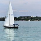 Segeln auf dem Bodensee