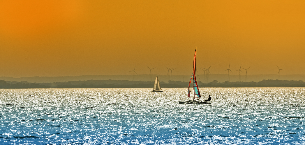 Segeln auf dem Dümmersee