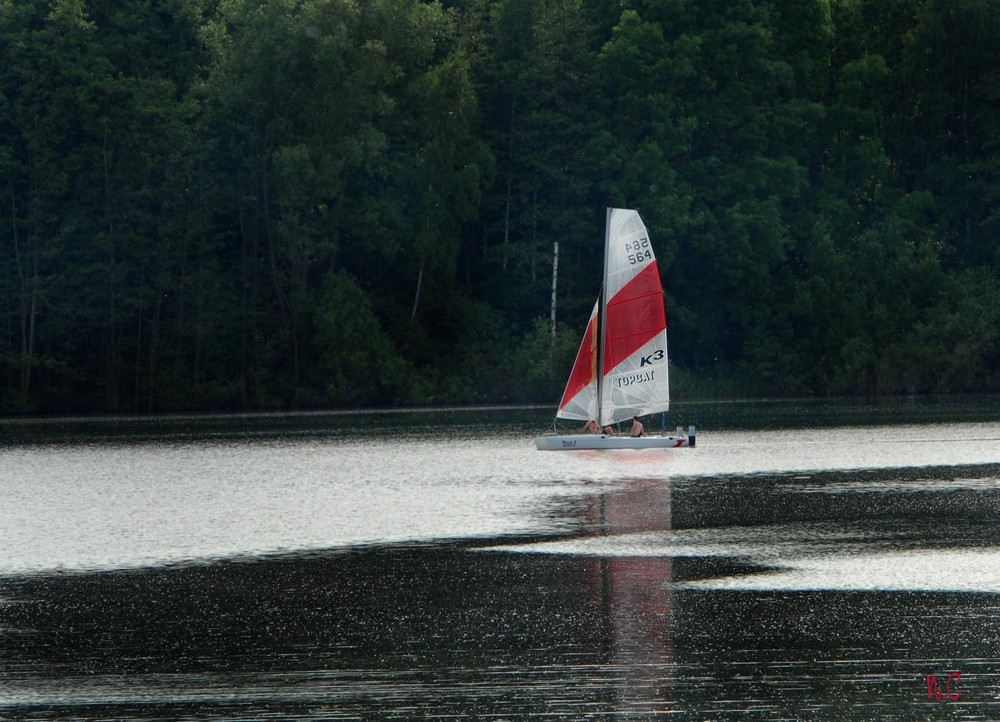 Segeln auf dem Elbsee