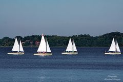 Segeln auf dem Ratzeburger See (1)