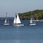 Segeln auf dem Ratzeburger See (2)