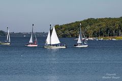 Segeln auf dem Ratzeburger See (2)