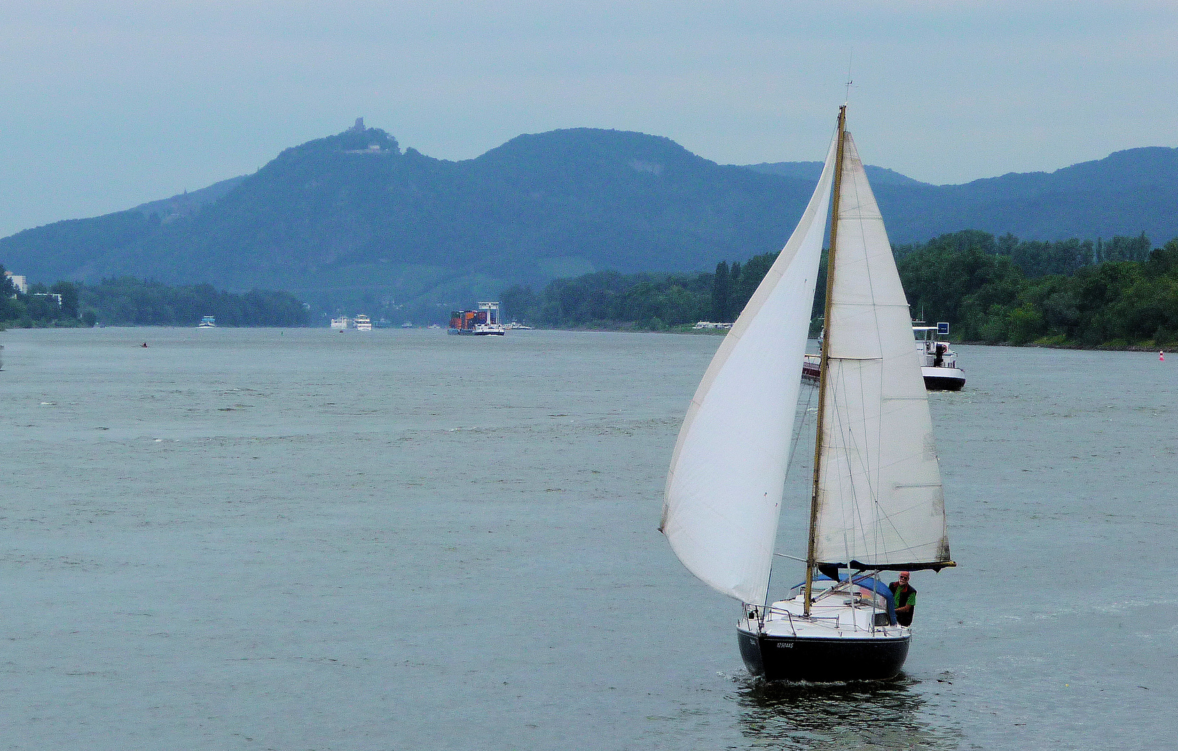 Segeln auf dem Rhein