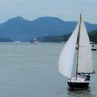 Segeln auf dem Rhein