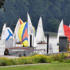 Segeln auf dem Rhein