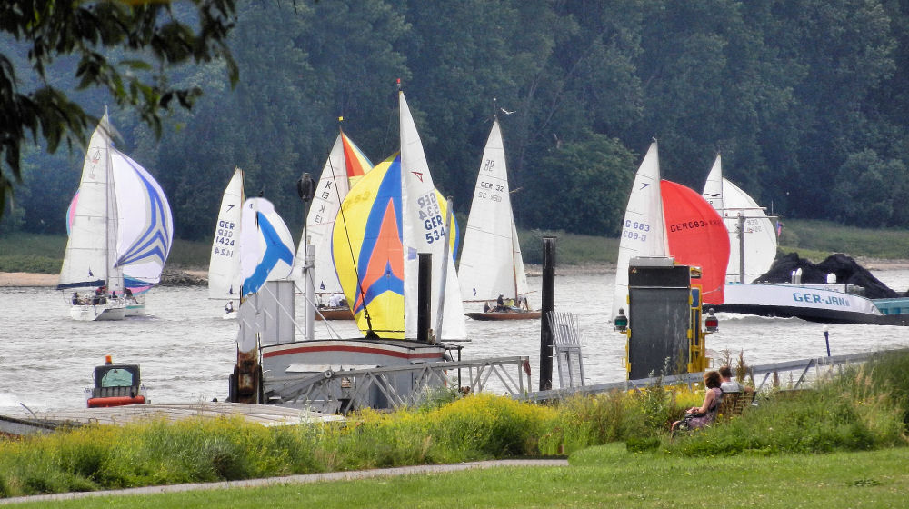 Segeln auf dem Rhein