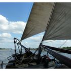 Segeln auf dem Rhein bei Emmerich ...