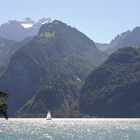 Segeln auf dem Urnersee