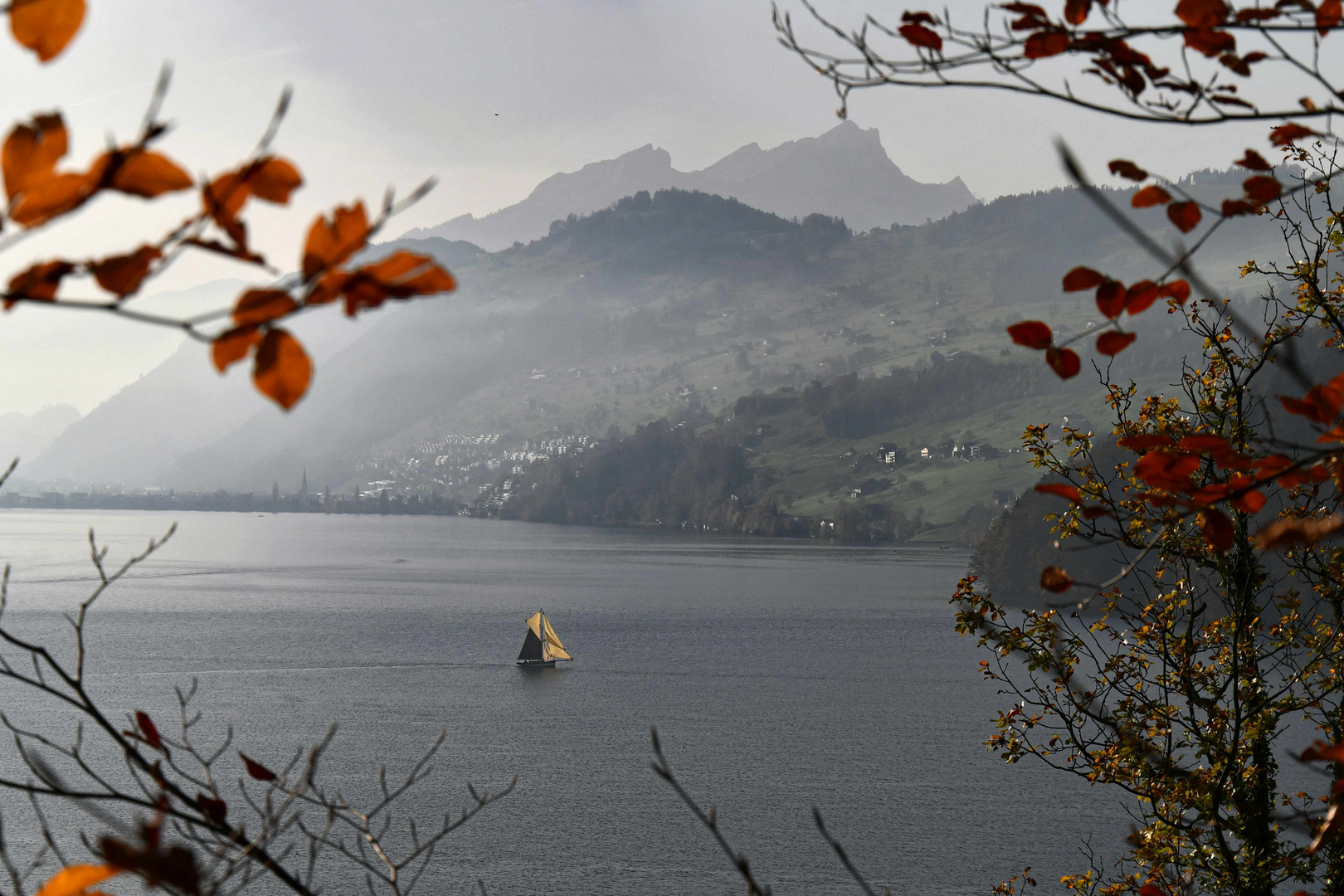 Segeln auf dem Vierwaldstättersee