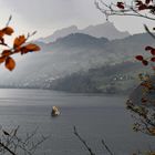 Segeln auf dem Vierwaldstättersee