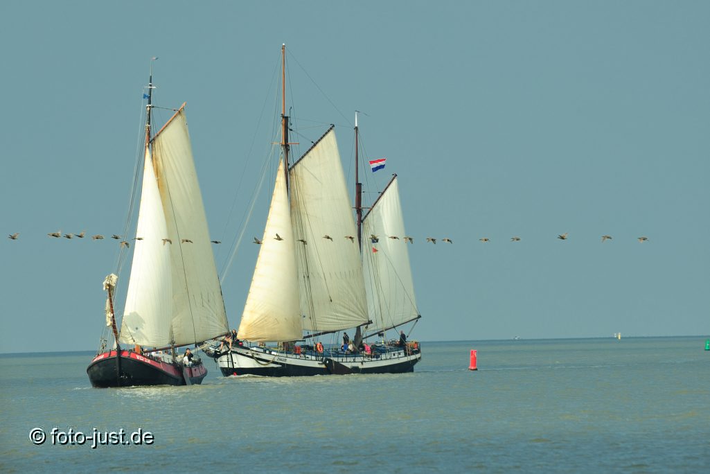 Segeln auf dem Wattenmeer