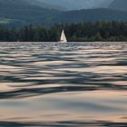 Segeln auf dem Wolfgangsee