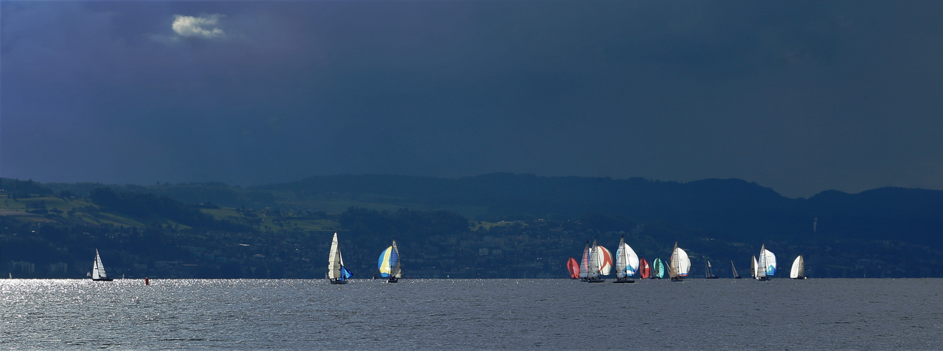 Segeln auf dem Zürichsee