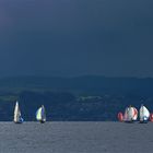 Segeln auf dem Zürichsee