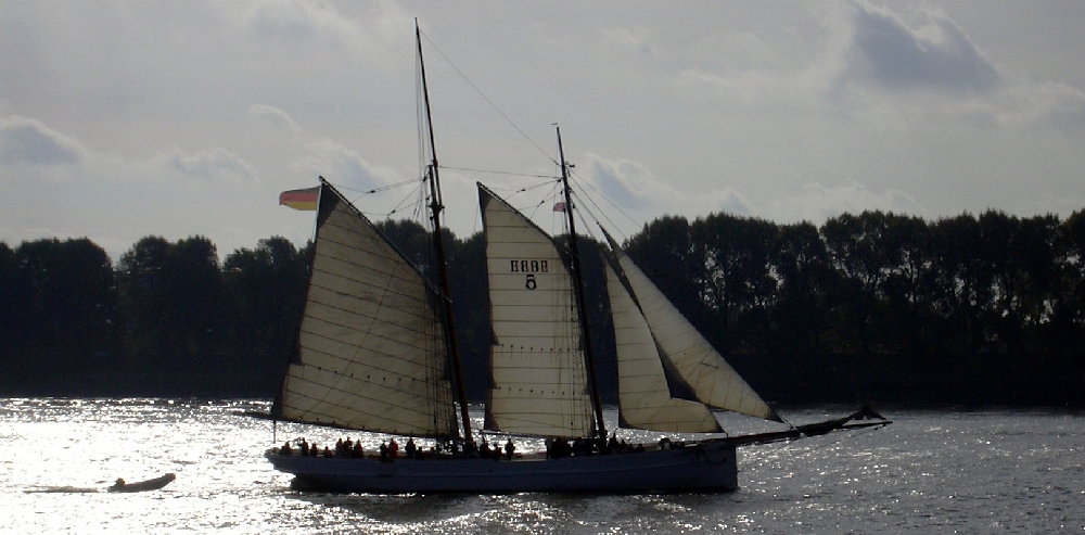 Segeln auf der Elbe