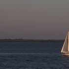 Segeln auf der Elbe